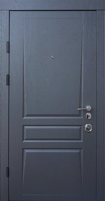Вхідні двері Qdoors Авангард Тріно, 2050*850, Ліве