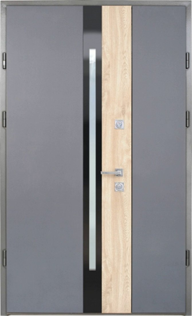 Вхідні двері Straj серія Proof 1.5 модель Slim S PF Standard Mottura, 2050*1220, Ліве