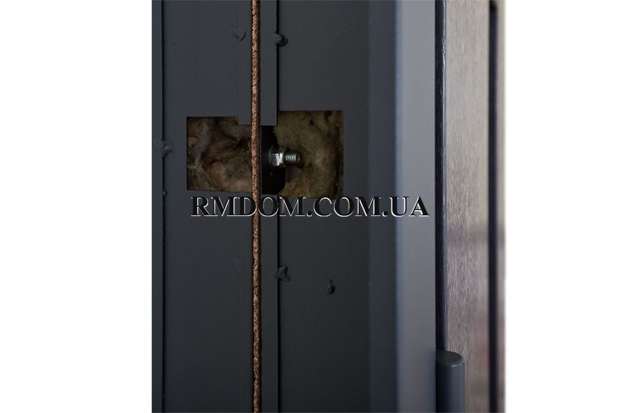 Вхідні двері Abwehr серія Bionica 2 модель Olimpia Glass LP-3, 2050*860, Ліве