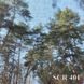 Тканини SCREEN, Однотонна, Колекція SCREEN