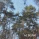 Тканини SCREEN, Однотонна, Колекція SCREEN
