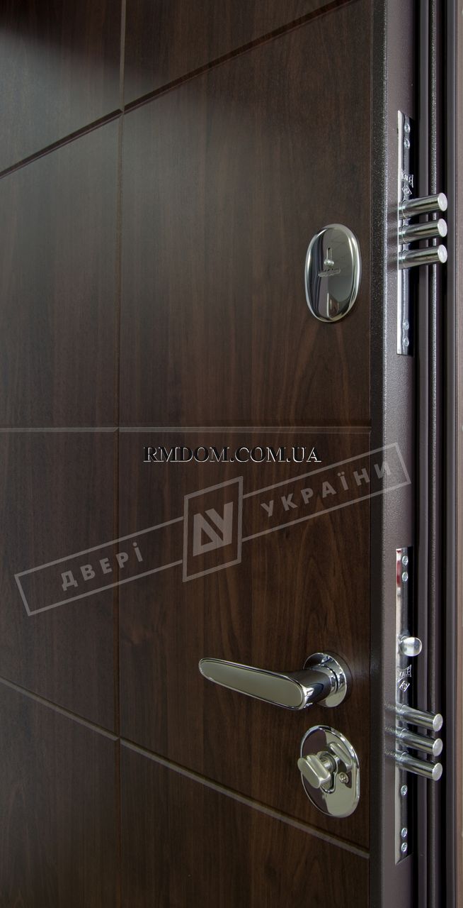 Двері вхідні ТМ Двері Україні серії БС модель Кейс, 2040*880, Праве