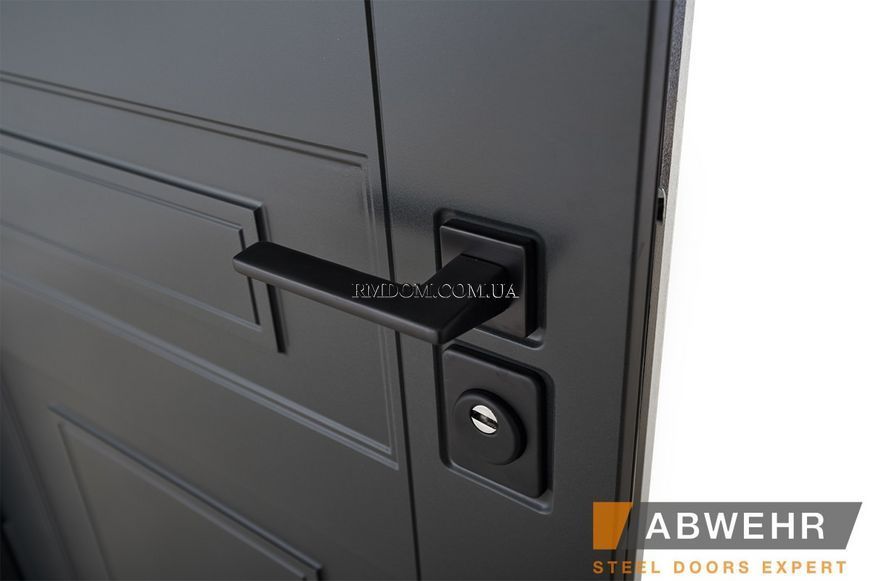 Вхідні двері Abwehr Bionika Combo Scandi 498, 2050*960, Ліве
