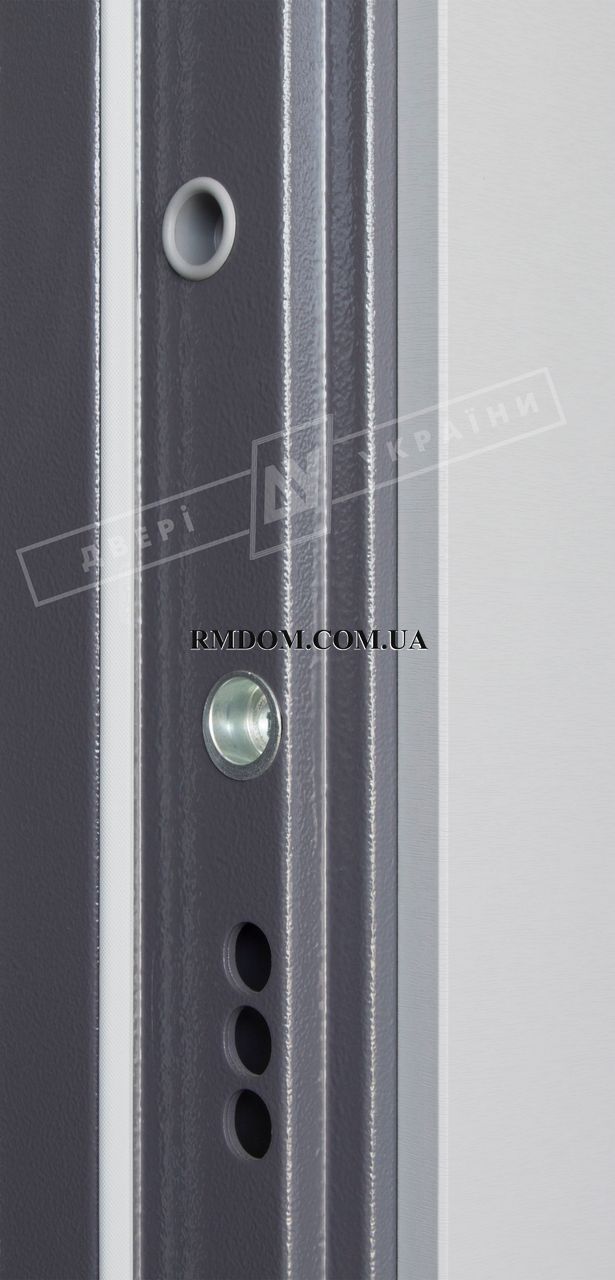 Двері вхідні ТМ Двері України серії Інтер модель Леон, 2040*880