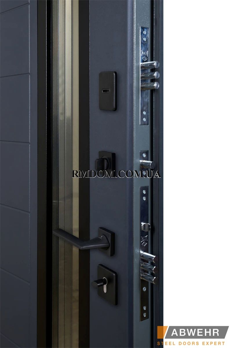 Вхідні двері Abwehr серія Cottage модель Ufo Gold 478, 2050*860, Праве