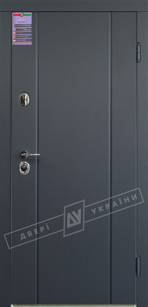 Двері вхідні ТМ Двері України серії Інтер модель Стела/Турин, 2040*880