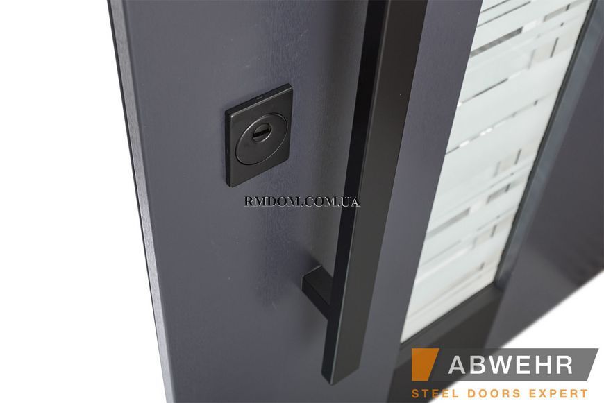 Вхідні двері Abwehr Termix Trinity 541, 2050*960, Ліве