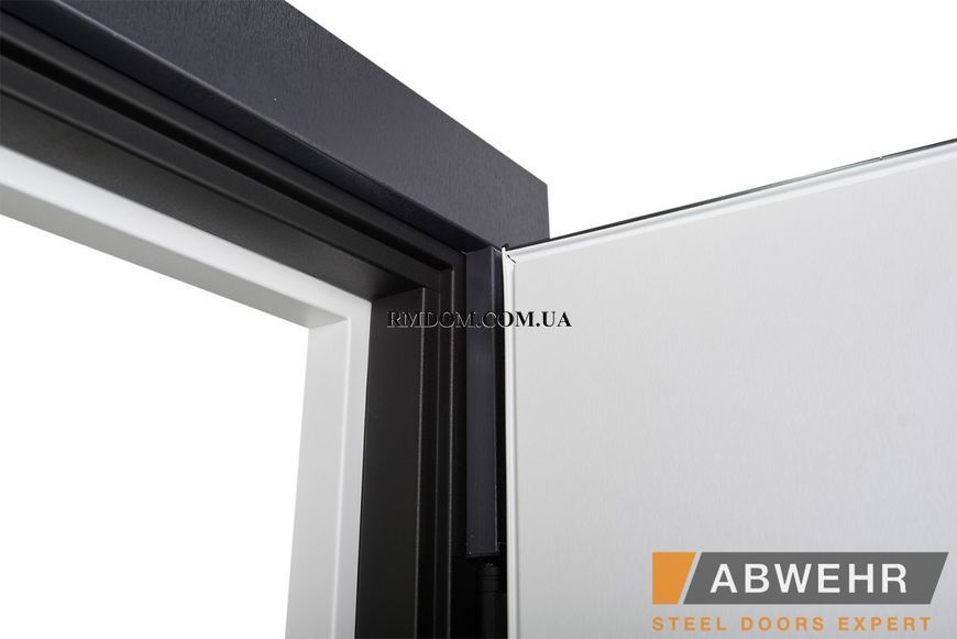 Вхідні двері Abwehr Termix Trinity 541, 2050*960, Ліве