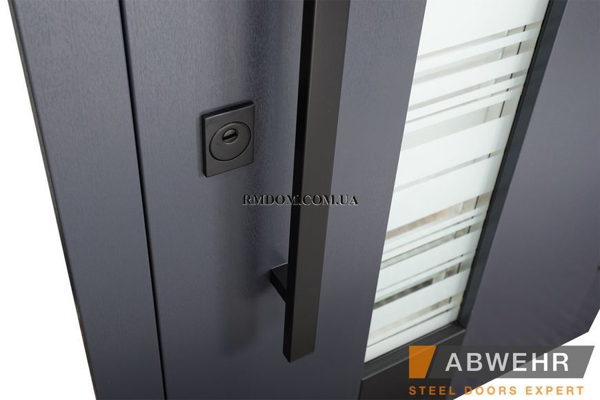 Вхідні двері Abwehr Termix Trinity 541, 2050*960, Ліве
